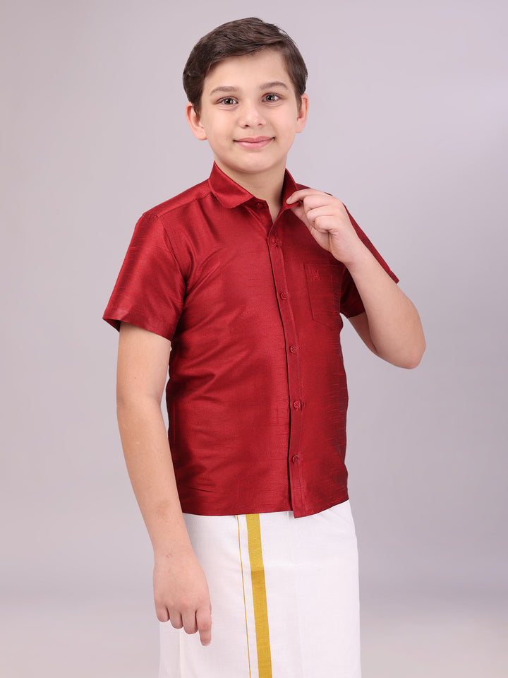 Boys Dark Brown Color Half Sleeves Shirt side pose