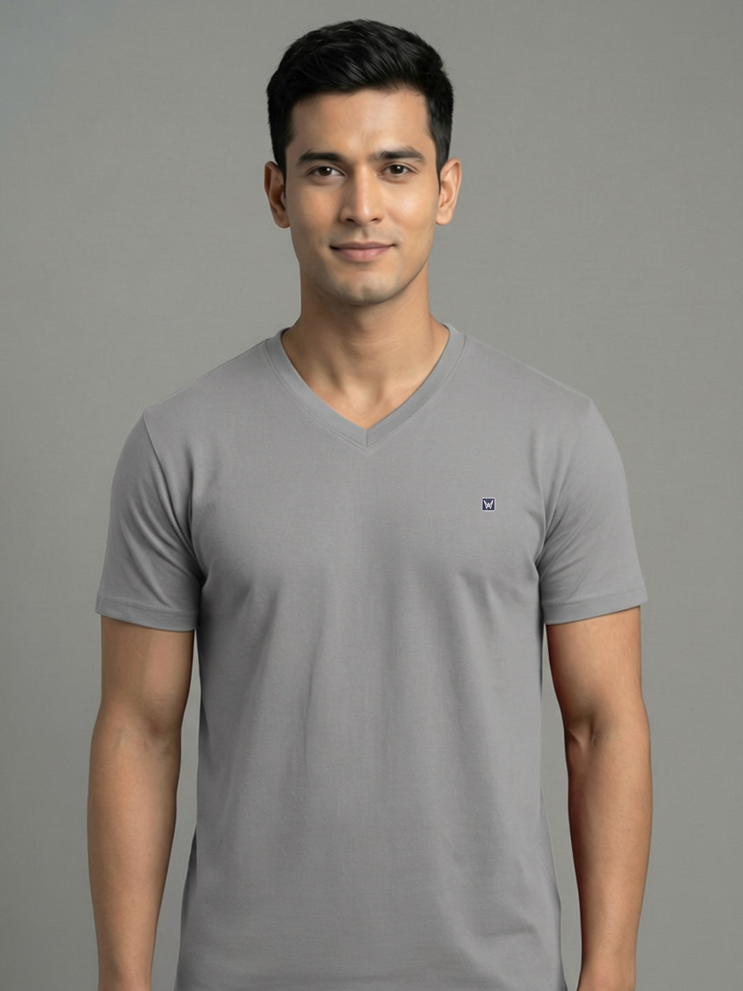 Men's Anthra Regular Fit V-Neck T-Shirt Caliber