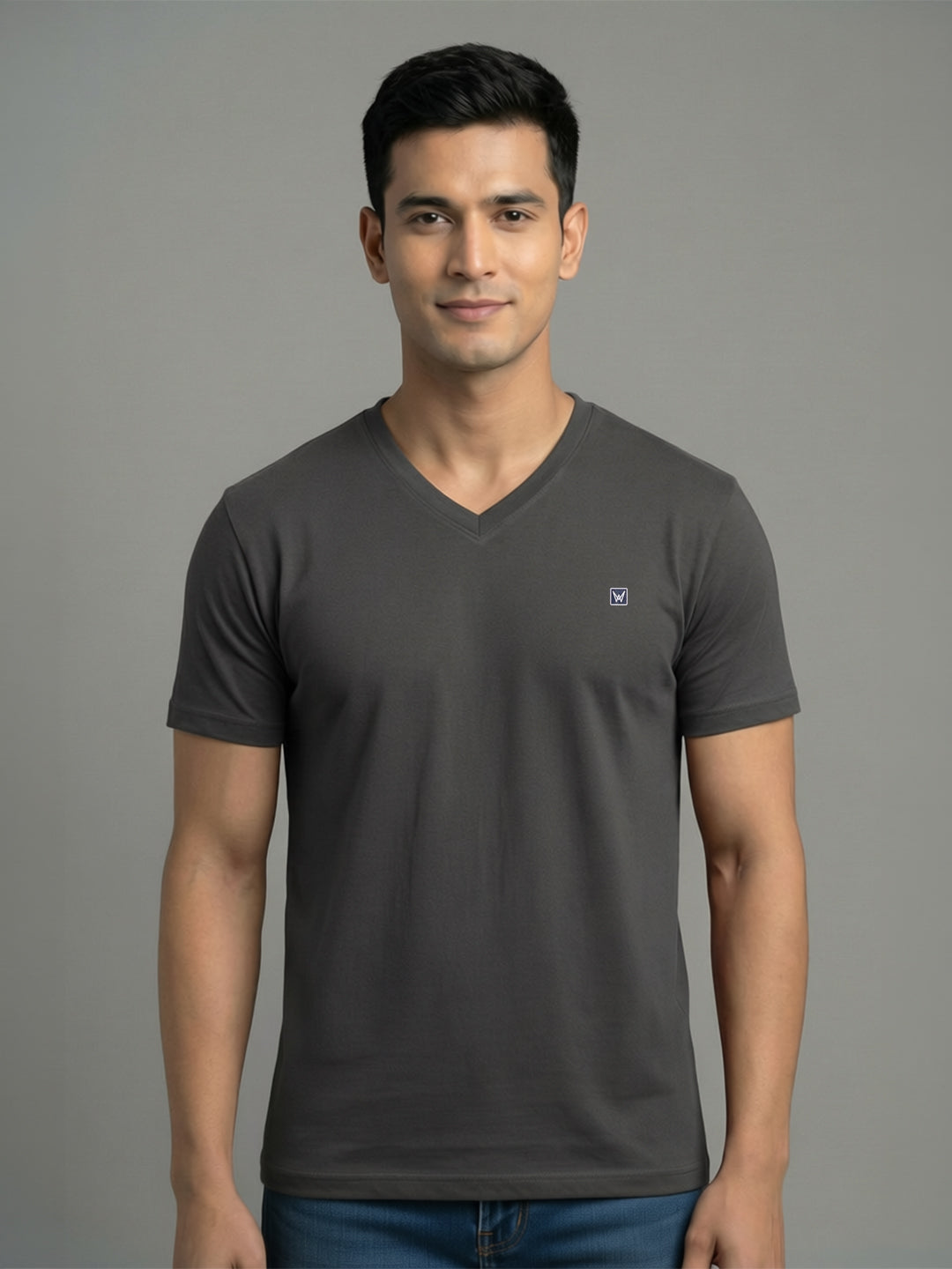 Men's Regular Fit V-Neck Dark Grey T-Shirt Caliber