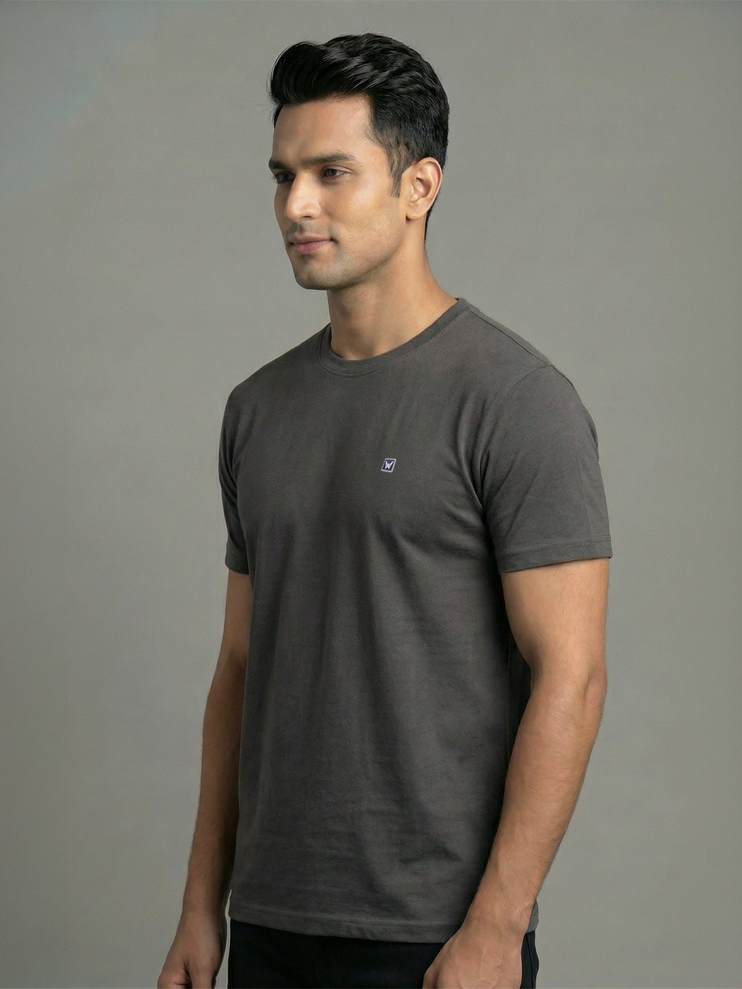 Men's Grey Regular Fit Round Neck T-Shirt Crisper