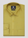 Mens Dupion Satin Regular Fit Leaf Green Colour Shirt