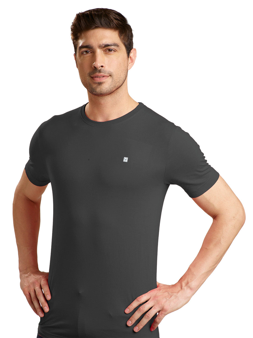 Men's Dark Grey Regular Fit Round Neck T-Shirt Crisper